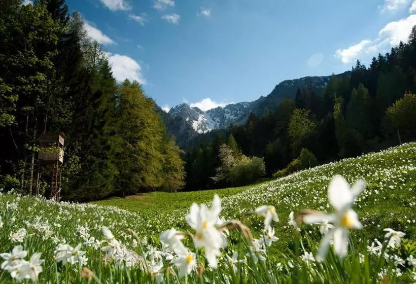 Retkeilymaja Gasthaus Stefaner
