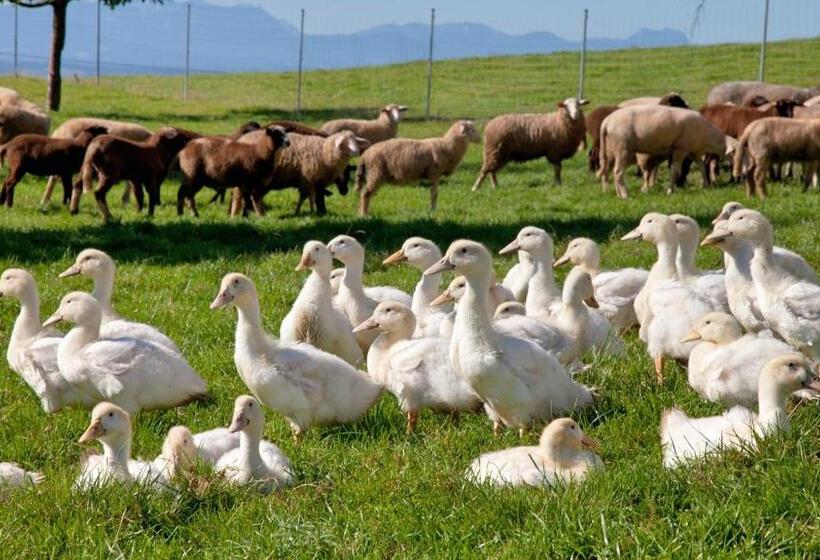 호스텔 Landgasthof Entenwirt Tarsdorf