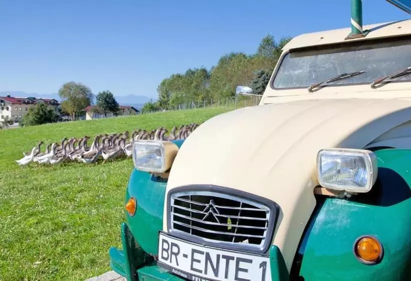 Retkeilymaja Landgasthof Entenwirt Tarsdorf