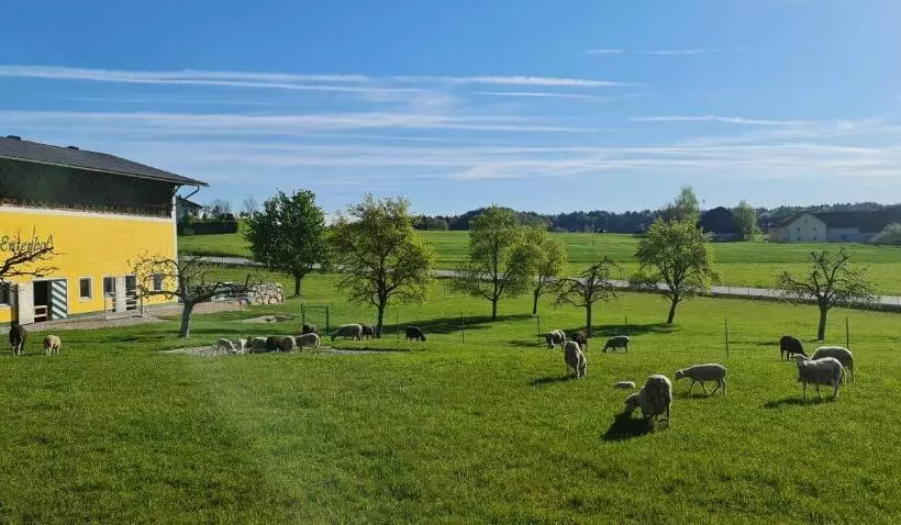 Retkeilymaja Landgasthof Entenwirt Tarsdorf