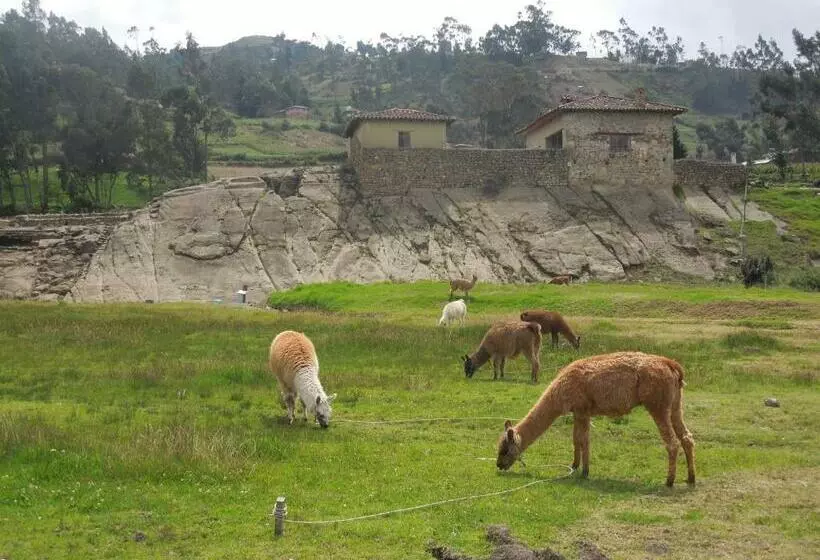 Aamiaismajoitus (B&B) Hostería La Condesa