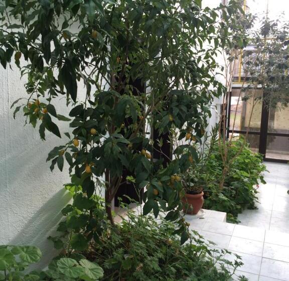 Family Hotel Belvedere