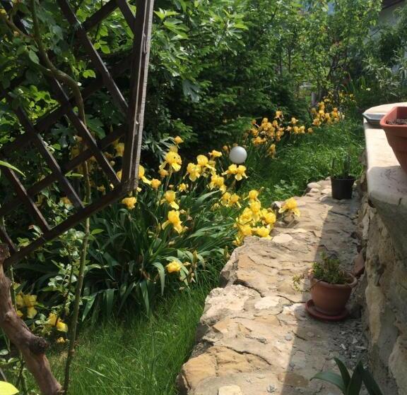 Family Hotel Belvedere