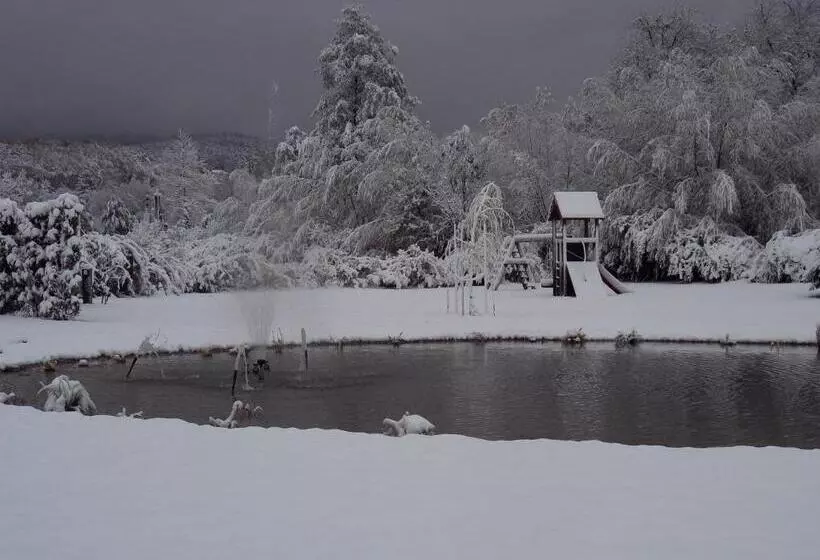 Grandhotel Niederösterreichischer Hof