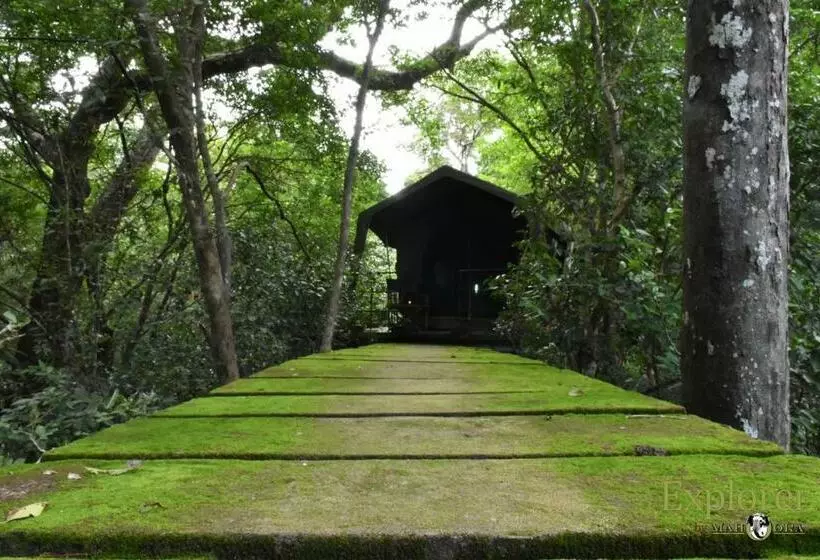 Hotelli Explorer By Eco Team   Wasgamuwa National Park