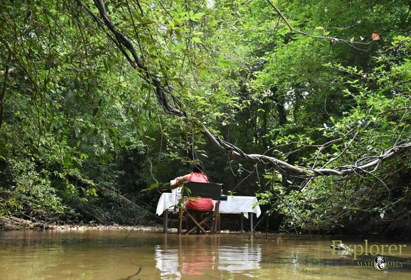 Hotel Explorer By Eco Team   Wasgamuwa National Park