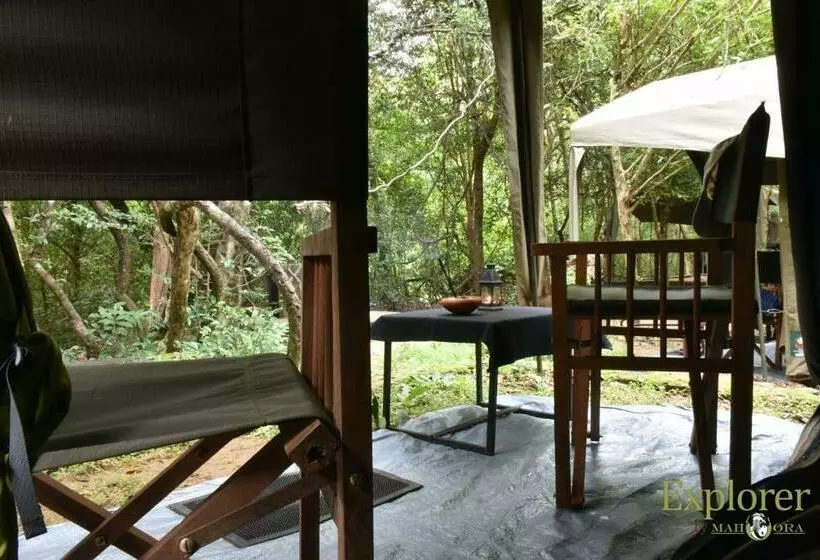 Hotelli Explorer By Eco Team   Wasgamuwa National Park