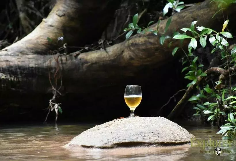 Hotelli Explorer By Eco Team   Wasgamuwa National Park