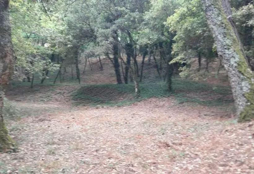 ホテル Quinta Vale Do Nox