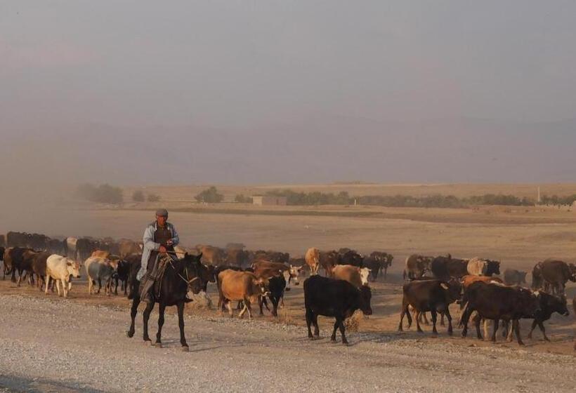 Pensão Barseghyan's Guest House