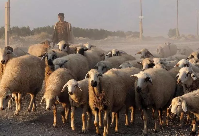 Majatalo Barseghyan's Guest House