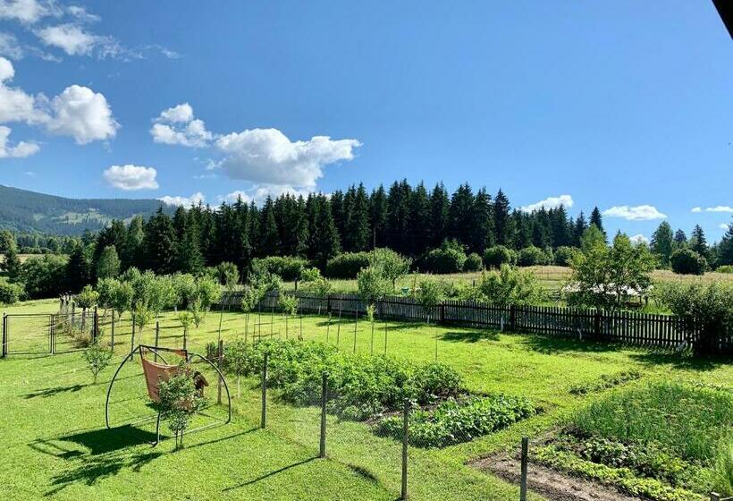 بنسيون Casa Maria Izvorul Muresului