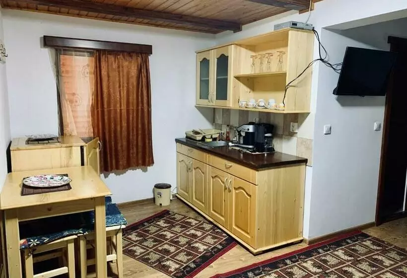 پانسیون Casa Maria Izvorul Muresului
