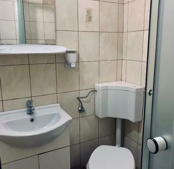 پانسیون Casa Maria Izvorul Muresului