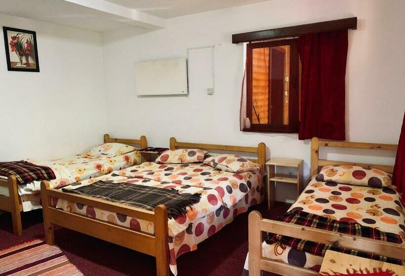 بنسيون Casa Maria Izvorul Muresului