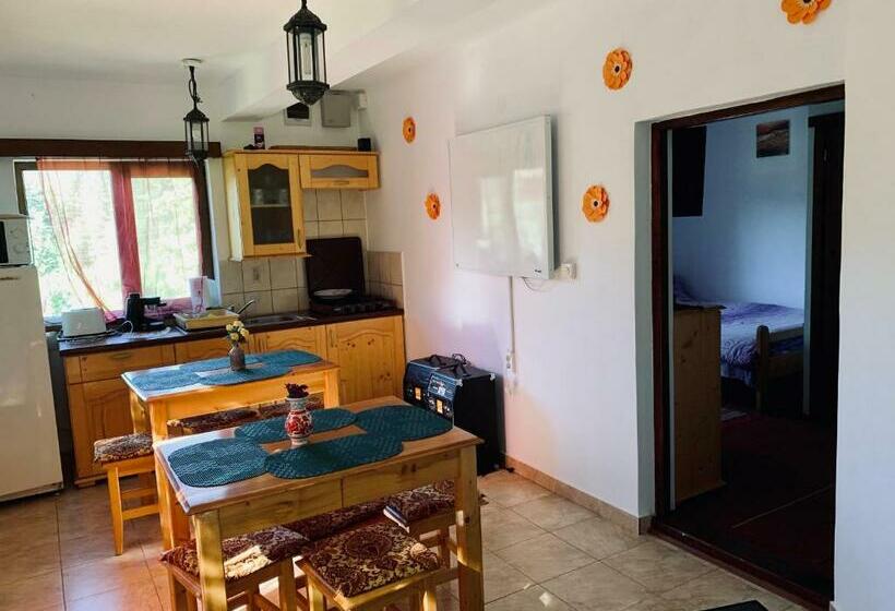 بنسيون Casa Maria Izvorul Muresului