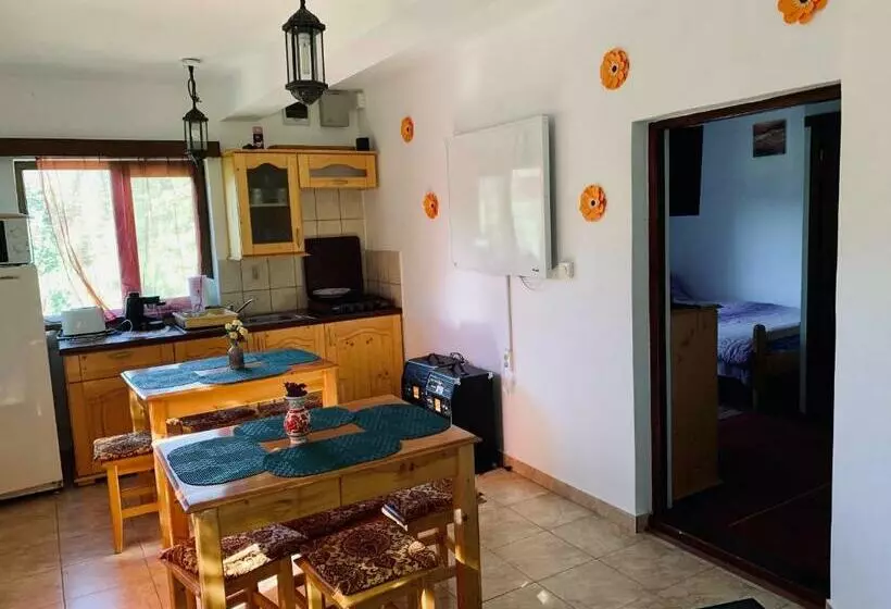 پانسیون Casa Maria Izvorul Muresului
