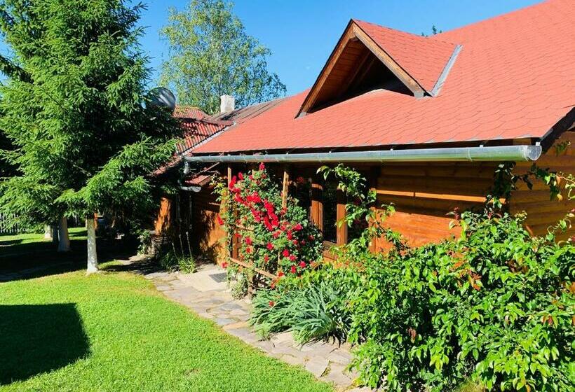 بنسيون Casa Maria Izvorul Muresului