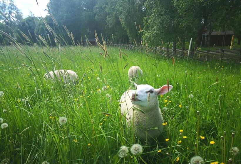 膳宿费 Eräjärven Eerola Guesthouse