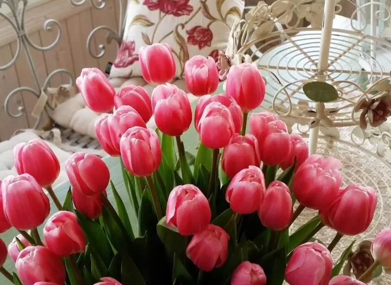 Majatalo Eräjärven Eerola Guesthouse