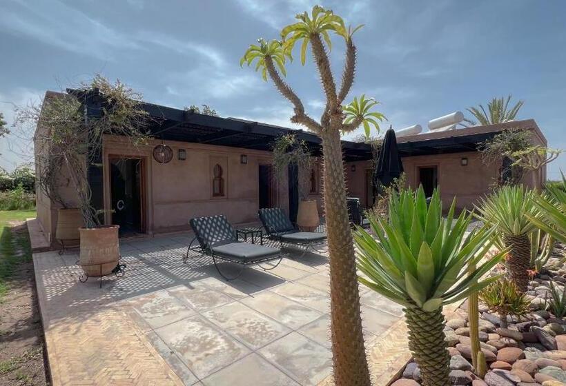 Pension Maidan El Arsa