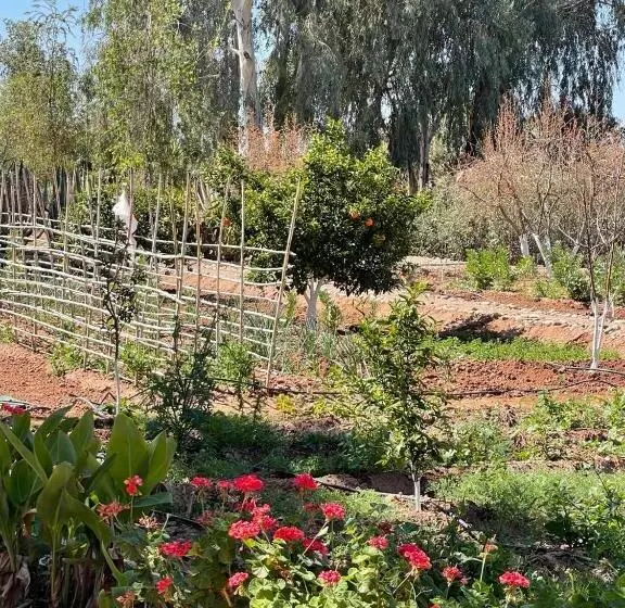 Majatalo Maidan El Arsa