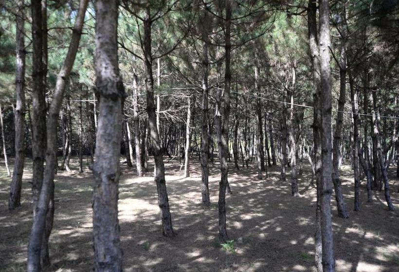 פנסיון Nesilce Tatil Koyu