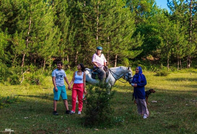 פנסיון Nesilce Tatil Koyu