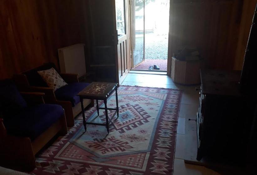 פנסיון Nesilce Tatil Koyu