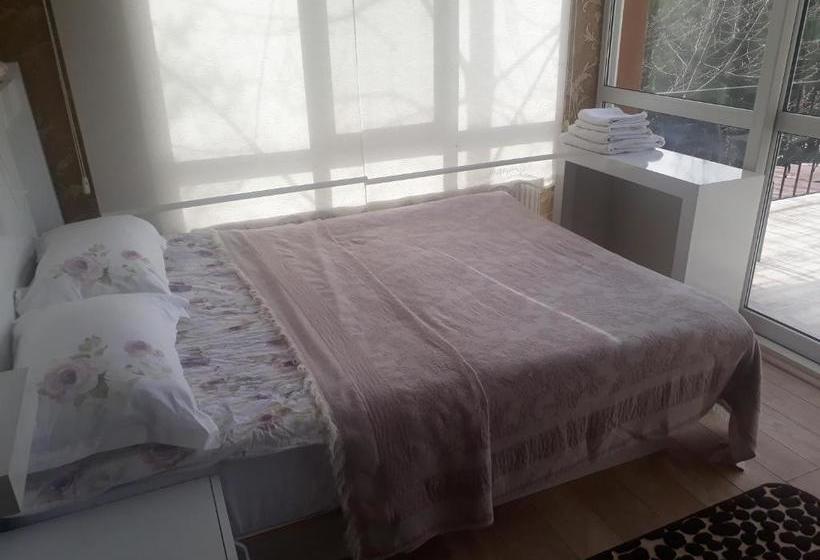 פנסיון Nesilce Tatil Koyu