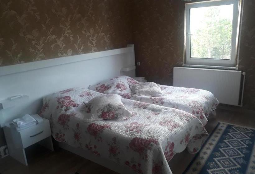 פנסיון Nesilce Tatil Koyu