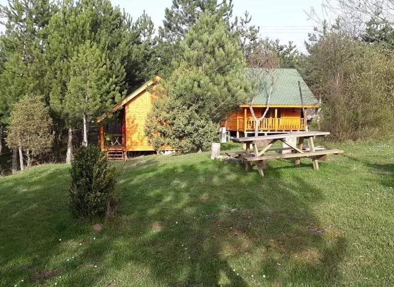 ペンション Nesilce Tatil Koyu