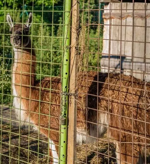 Majatalo Rezort U Bobiho