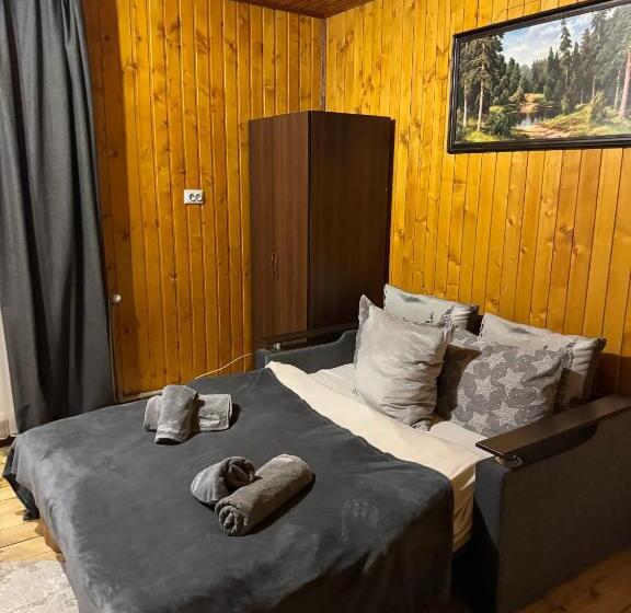 Пансион готель близнюки