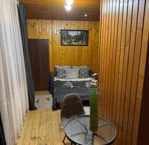 Пансион готель близнюки