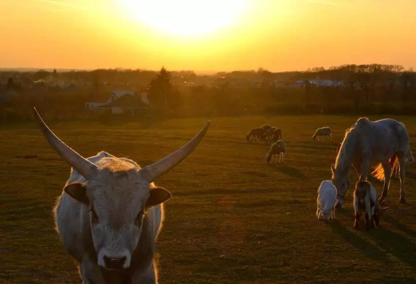 Majatalo St Peter Vini