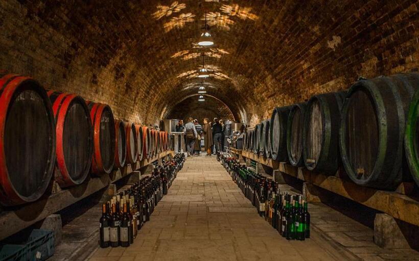 Pansiyon St Peter Vini