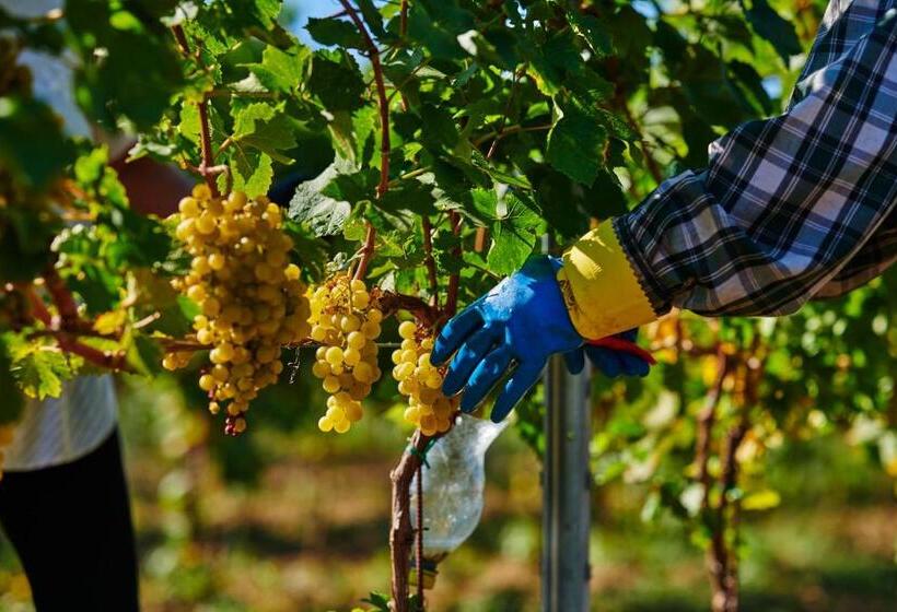 Pensión St Peter Vini