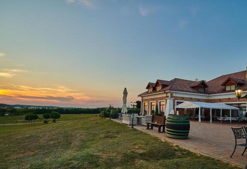 Pensión St Peter Vini