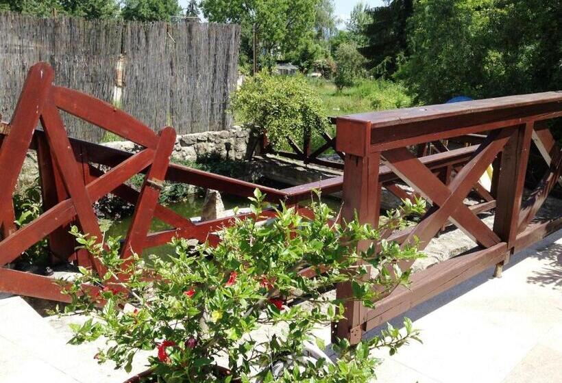 بنسيون Ubytovanie Anka Sučanská