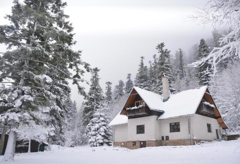 膳宿费 Vila Javorinka