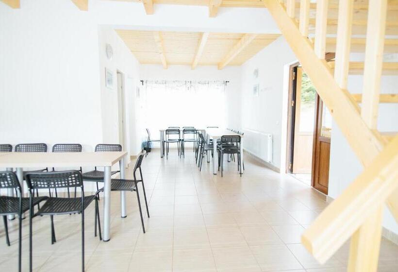 بنسيون Vilele Superski