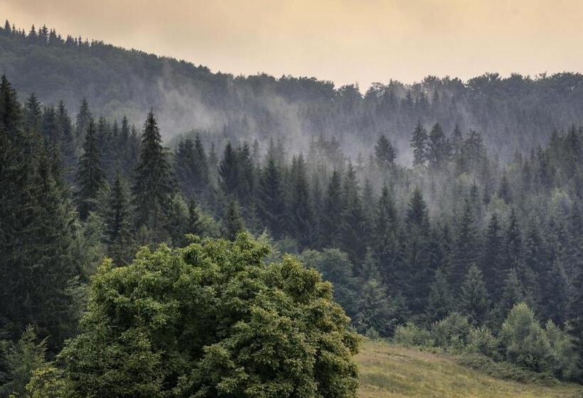 بنسيون Vilele Superski