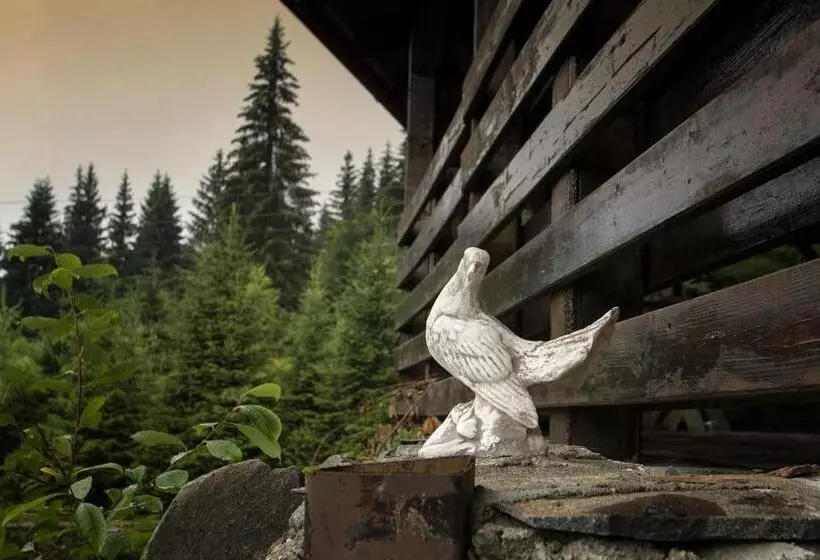 Majatalo Vilele Superski