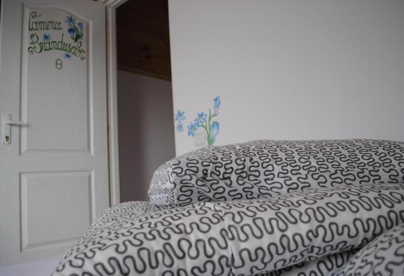 بنسيون Vilele Superski