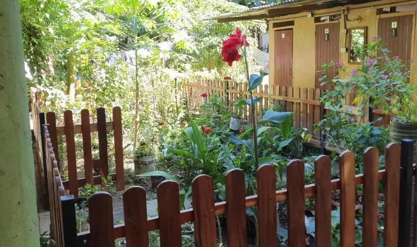 ユースホステル B&b, Family Run Homestay, Hospedaje La Penita