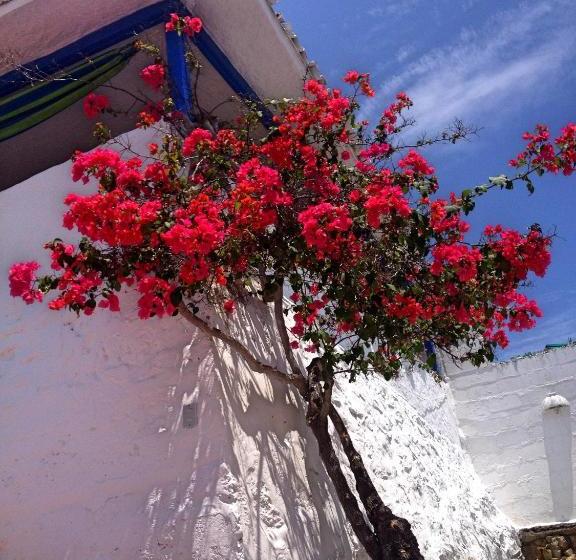 فندق صغير Casa Kokopelli