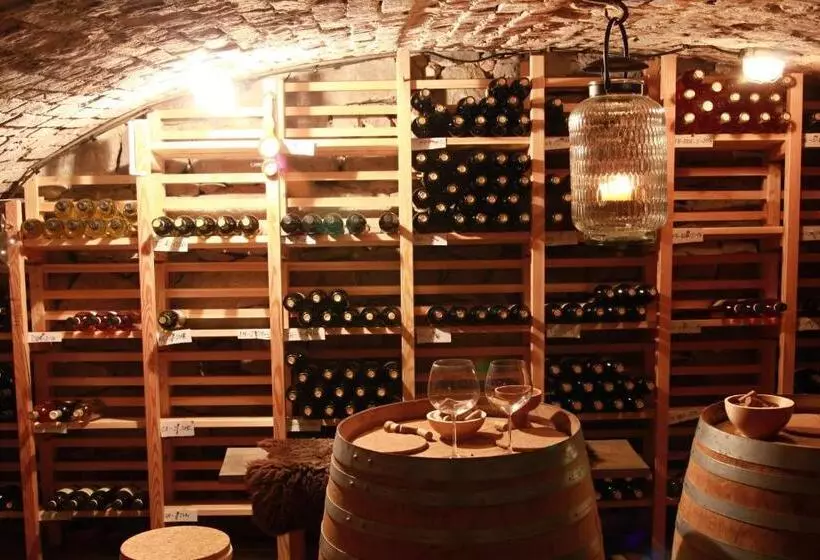 Retkeilymaja Hostinec A Penzion Dolní Dvůr