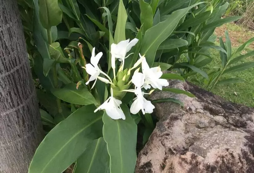 Hawk's Nest Bed & Breakfast