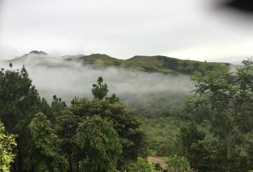 Hawk's Nest Bed & Breakfast